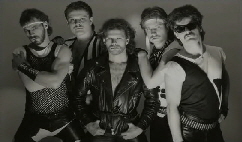 NetObjects Fusion 1&1 Edition