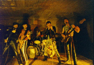 Papageien Photosession